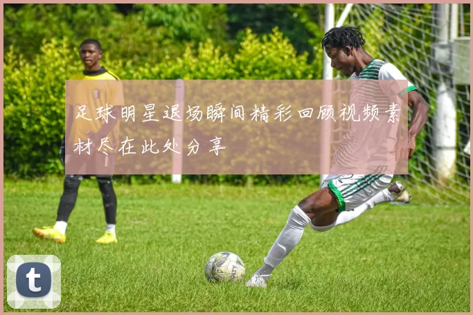 足球明星退场瞬间精彩回顾视频素材尽在此处分享