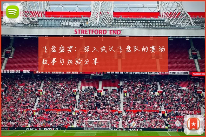 飞盘盛宴：深入武汉飞盘队的赛场故事与经验分享