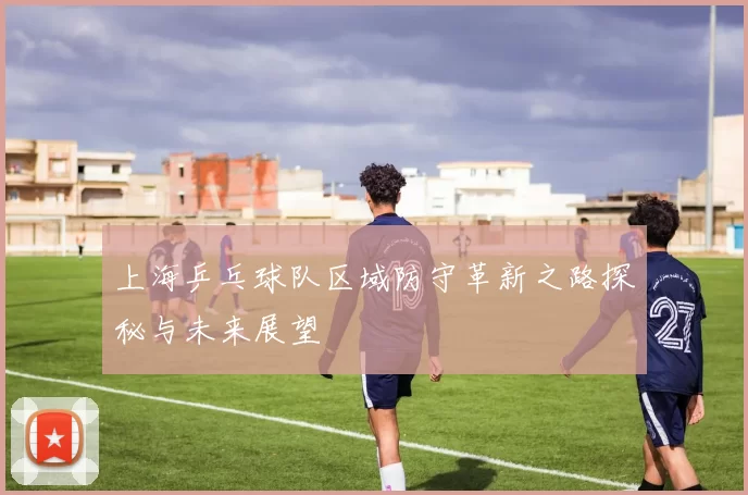 上海乒乓球队区域防守革新之路探秘与未来展望