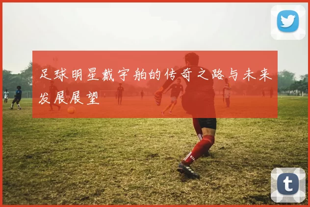 足球明星戴宇舶的传奇之路与未来发展展望
