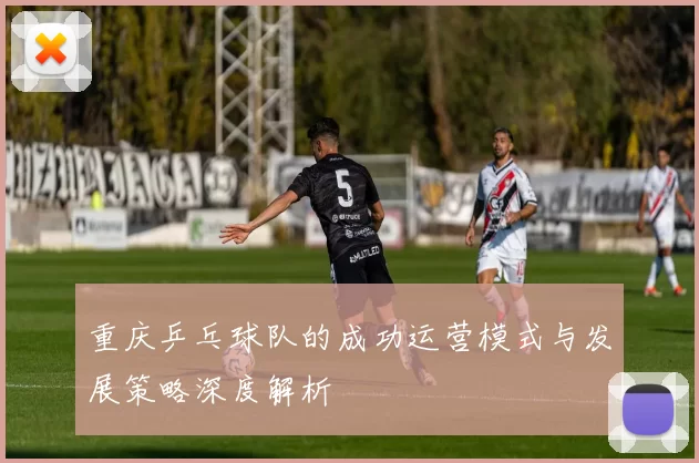 重庆乒乓球队的成功运营模式与发展策略深度解析