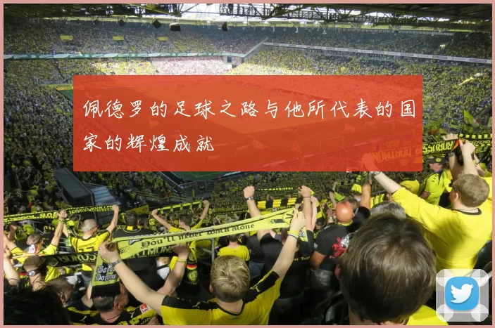 佩德罗的足球之路与他所代表的国家的辉煌成就