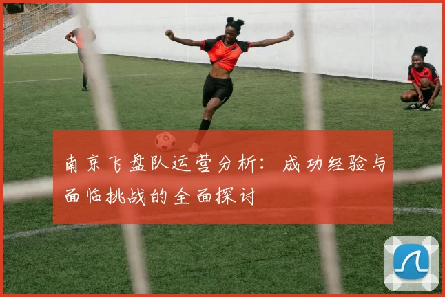 南京飞盘队运营分析：成功经验与面临挑战的全面探讨