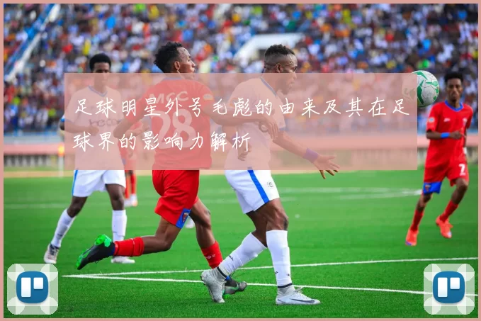 足球明星外号毛彪的由来及其在足球界的影响力解析