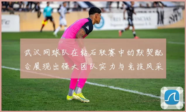 武汉网球队在钻石联赛中的默契配合展现出强大团队实力与竞技风采