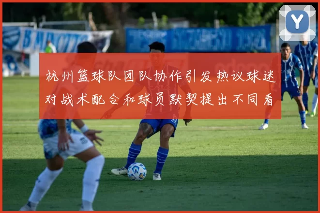 杭州篮球队团队协作引发热议球迷对战术配合和球员默契提出不同看法