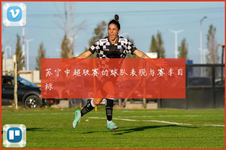 苏宁中超联赛的球队表现与赛季目标