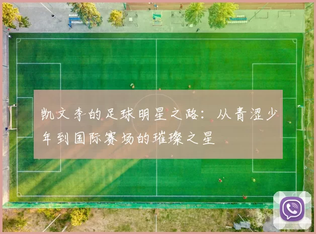 凯文李的足球明星之路：从青涩少年到国际赛场的璀璨之星