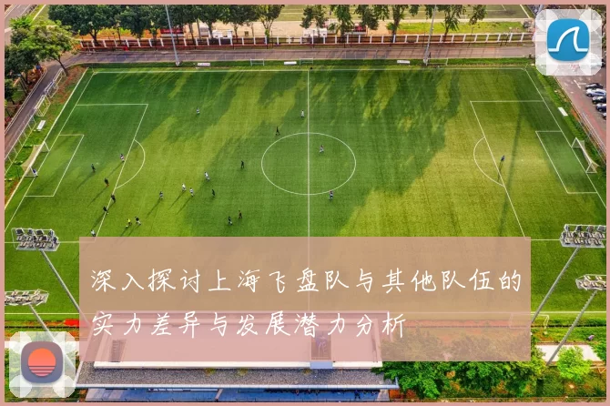 深入探讨上海飞盘队与其他队伍的实力差异与发展潜力分析
