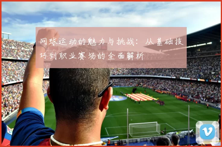 网球运动的魅力与挑战：从基础技巧到职业赛场的全面解析