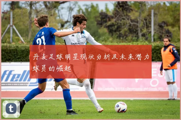 丹麦足球明星现状分析及未来潜力球员的崛起