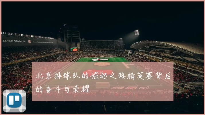 北京排球队的崛起之路精英赛背后的奋斗与荣耀