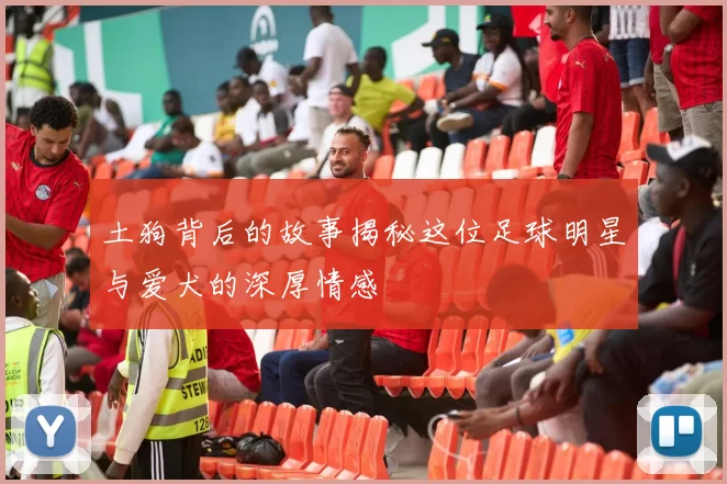 土狗背后的故事揭秘这位足球明星与爱犬的深厚情感
