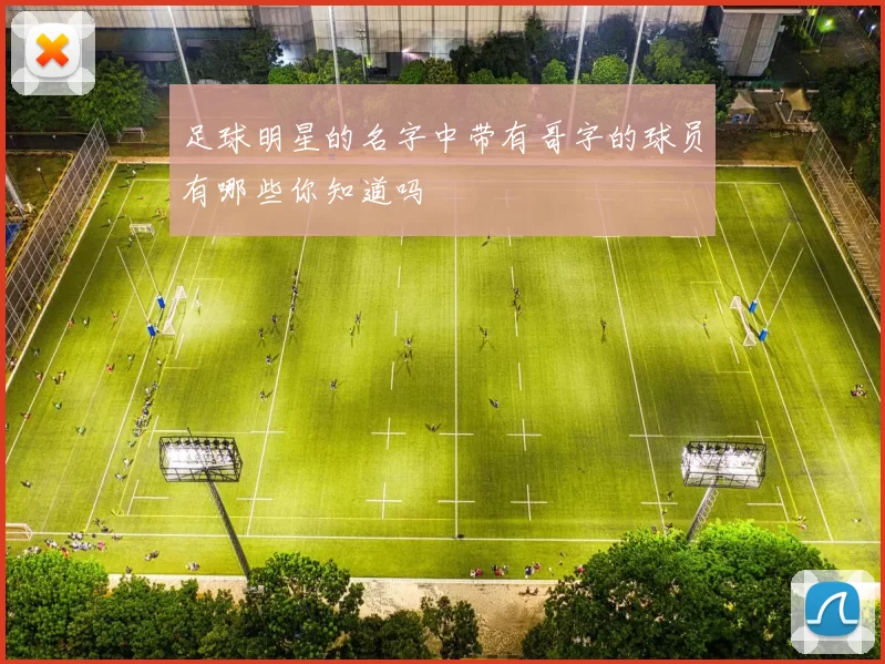足球明星的名字中带有哥字的球员有哪些你知道吗