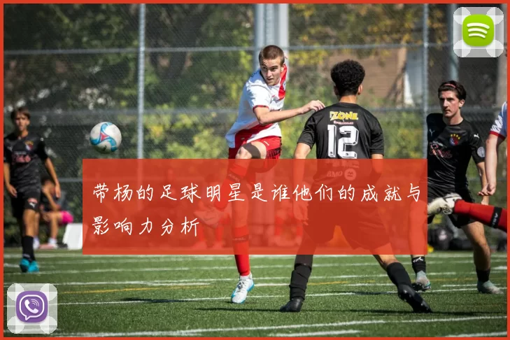带杨的足球明星是谁他们的成就与影响力分析