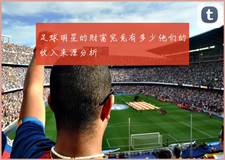 足球明星的财富究竟有多少他们的收入来源分析