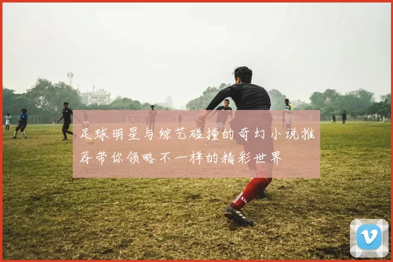 足球明星与综艺碰撞的奇幻小说推荐带你领略不一样的精彩世界