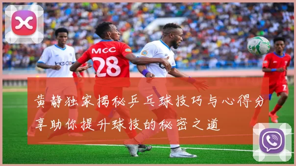 黄静独家揭秘乒乓球技巧与心得分享助你提升球技的秘密之道