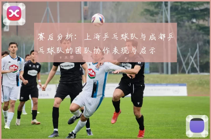 赛后分析：上海乒乓球队与成都乒乓球队的团队协作表现与启示