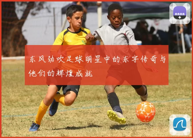东风劲吹足球明星中的东字传奇与他们的辉煌成就