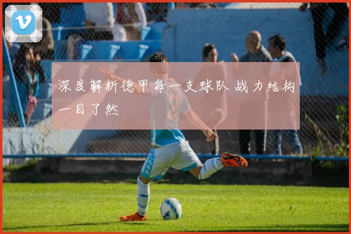 深度解析德甲每一支球队 战力结构一目了然