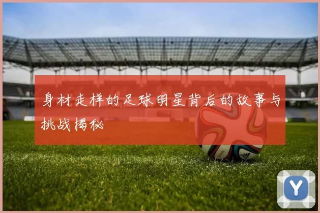 身材走样的足球明星背后的故事与挑战揭秘