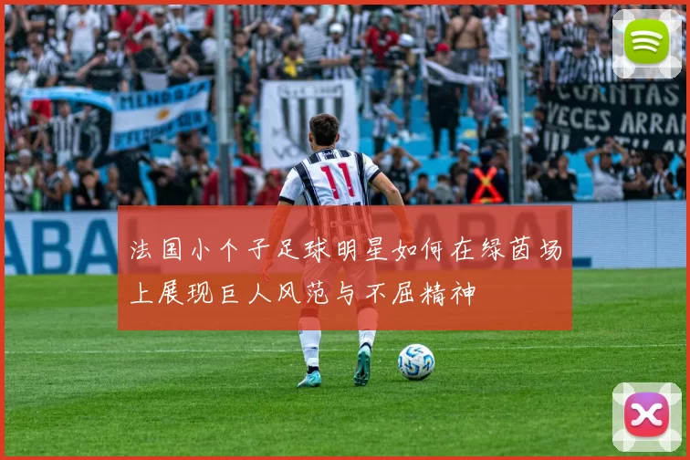 法国小个子足球明星如何在绿茵场上展现巨人风范与不屈精神