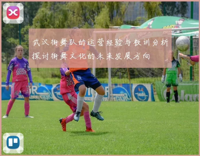 武汉街舞队的运营经验与教训分析探讨街舞文化的未来发展方向