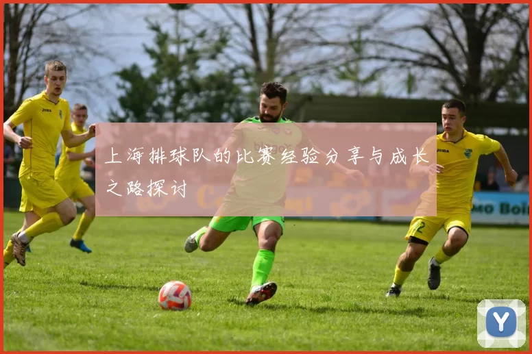 上海排球队的比赛经验分享与成长之路探讨