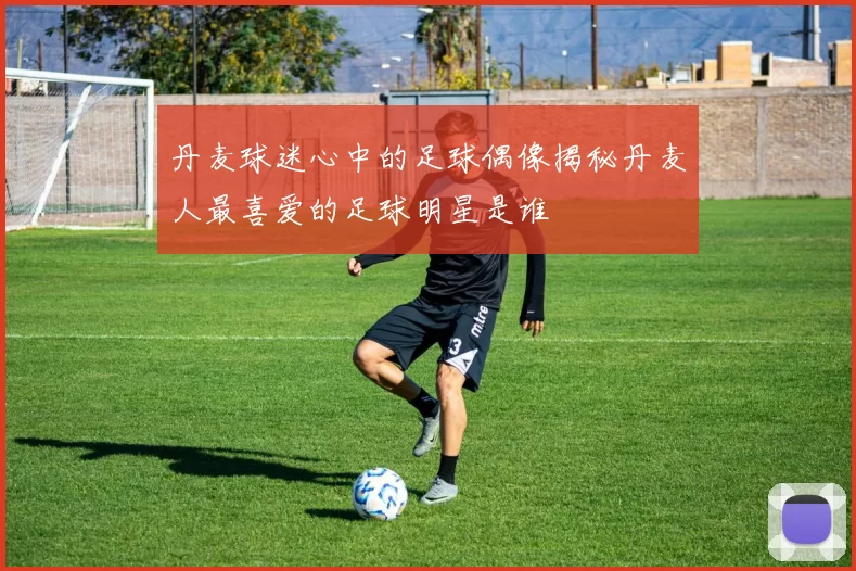丹麦球迷心中的足球偶像揭秘丹麦人最喜爱的足球明星是谁