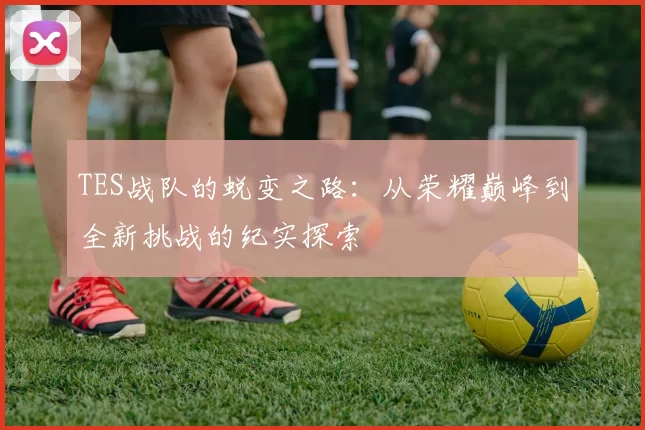 TES战队的蜕变之路：从荣耀巅峰到全新挑战的纪实探索