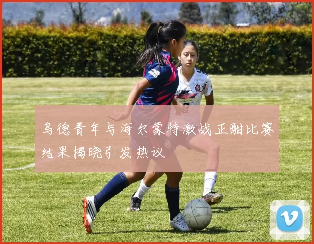 乌德青年与海尔蒙特激战正酣比赛结果揭晓引发热议