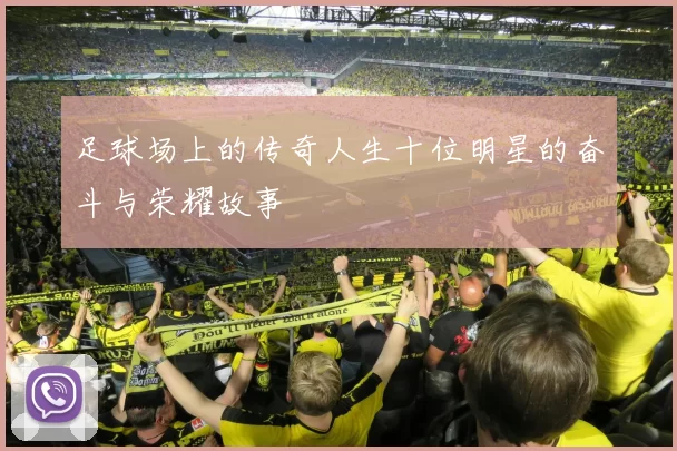 足球场上的传奇人生十位明星的奋斗与荣耀故事