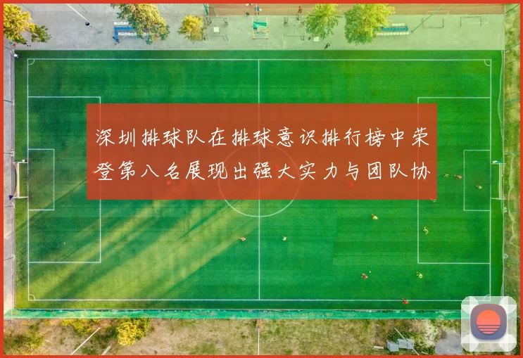 深圳排球队在排球意识排行榜中荣登第八名展现出强大实力与团队协作精神